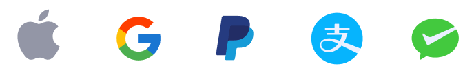 Apple Pay, Google Pay, PayPal, Alipay, WeChat Pay
